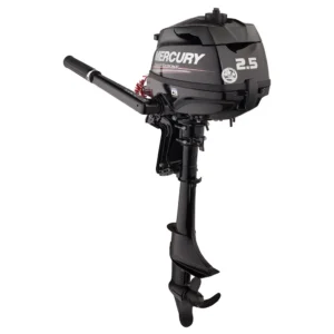 Suzuki 2.5 HP DF2.5L5 Outboard Motor